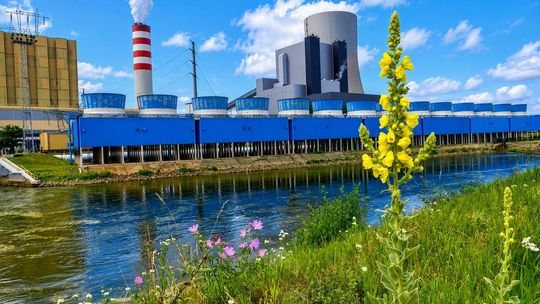 Energia musi płynąć, dlatego dbamy o rzekę. Wisła w okolicach Kozienic pod lupą naukowców
