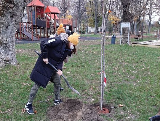 Ekologiczny projekt z udziałem pracowników Wydziału Ochrony Środowiska Enei Wytwarzanie