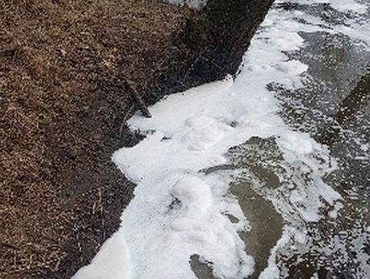 Pionkowskie ścieki płyną do Kozienic?