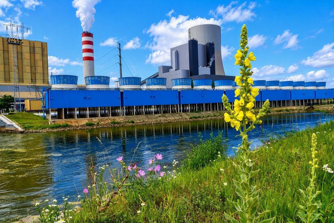 Energia musi płynąć, dlatego dbamy o rzekę. Wisła w okolicach Kozienic pod lupą naukowców