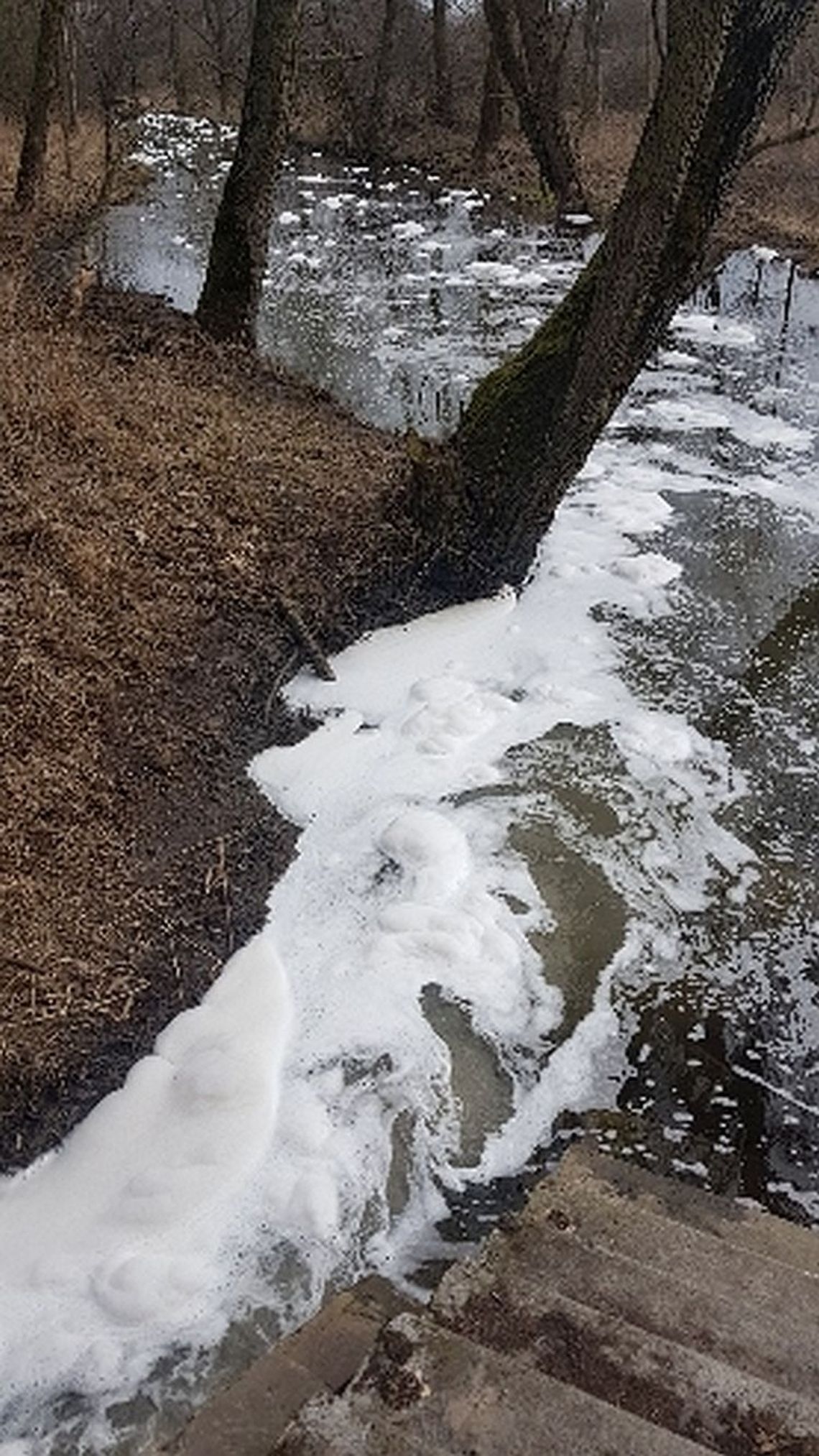 Pionkowskie ścieki płyną do Kozienic?